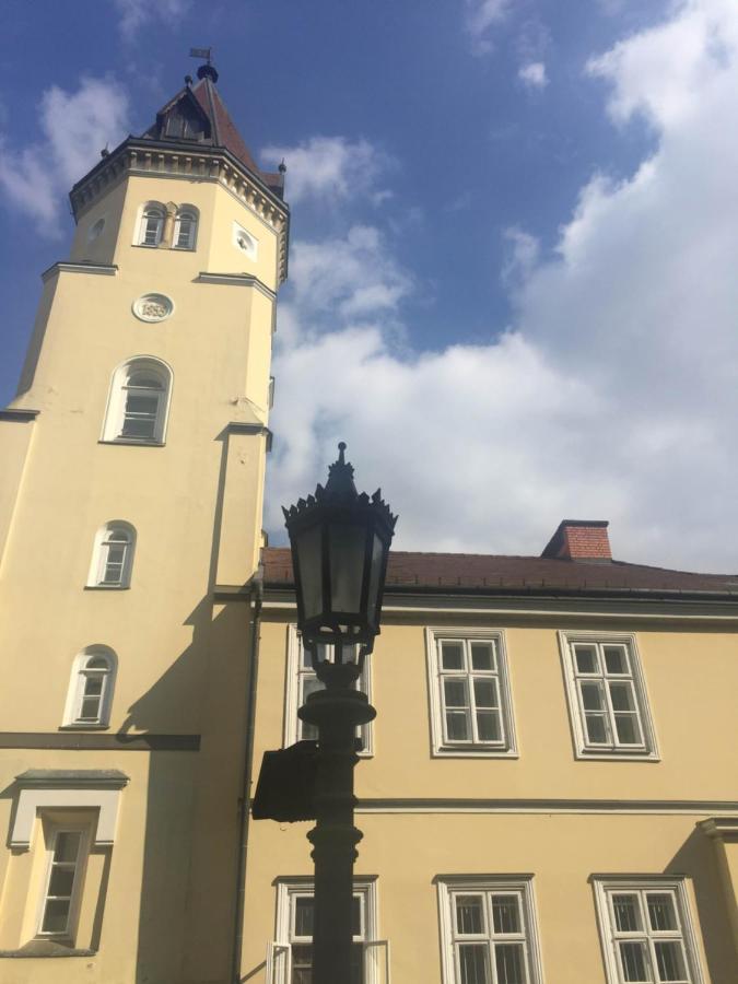 Festetich Kastelyszallo Es Zsuzsanna Hotel Szeleste Екстериор снимка